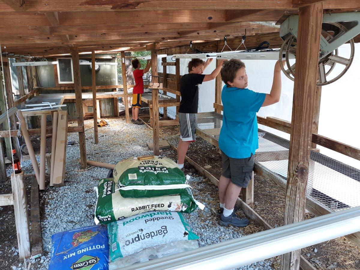 Children working in a greenhouse. (Courtesy of Chris Hall)
