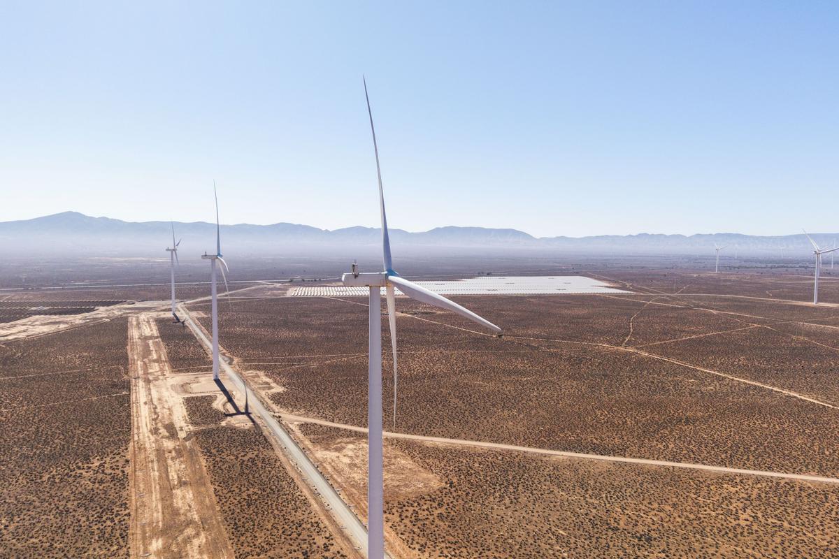 Adelaide in Prime Position to Host COP31 as Australia Pushes for UN Climate Event