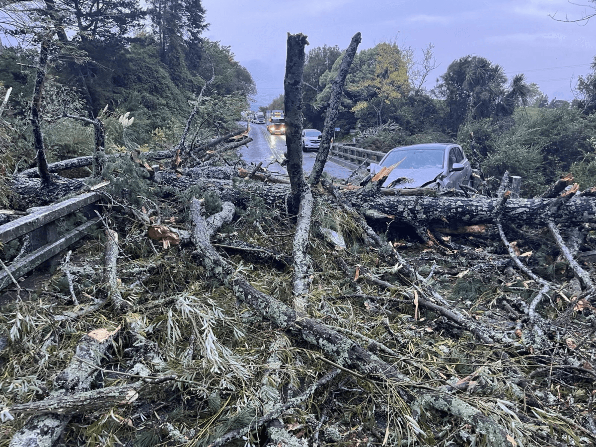 A bridge on State Highway 29 in rural Waikato is blocked after a tree fell across the bridge on April 17, 2025. (Courtesy of NZ Police)