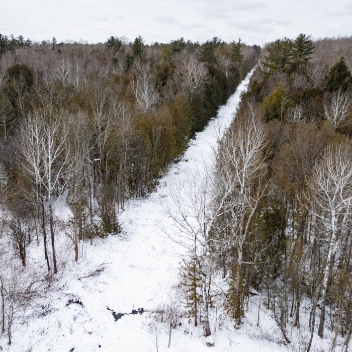 LIVE NOW: Snow Blankets New York as Winter Storm Sweeps Across the Northeast