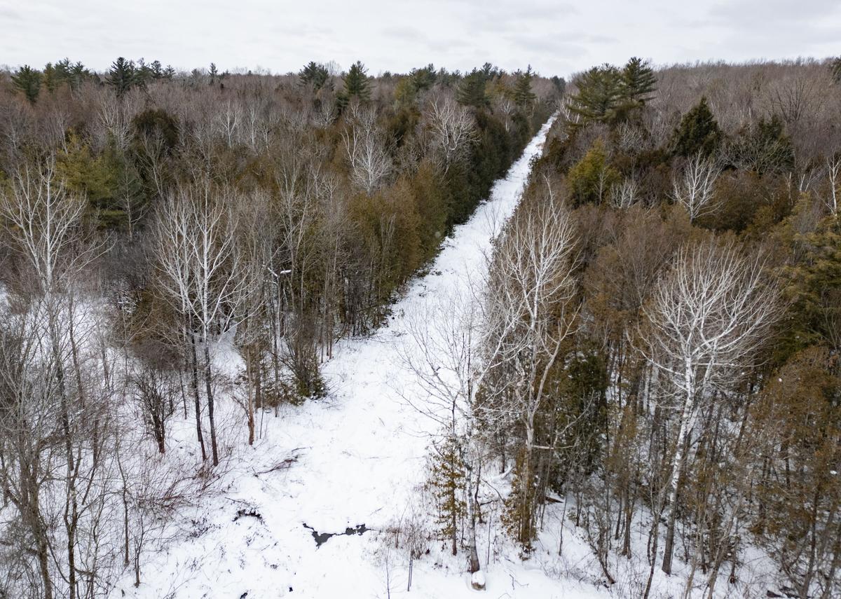 Woman, Two Young Children Missing After Trying to Cross Border Into Canada: RCMP