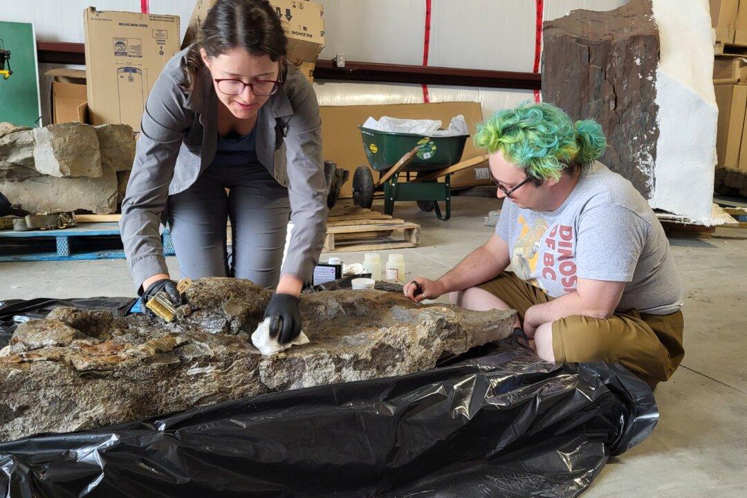 BC Researchers Confirm Footprints of Three-Toed Dinosaur With Club-Like Tail