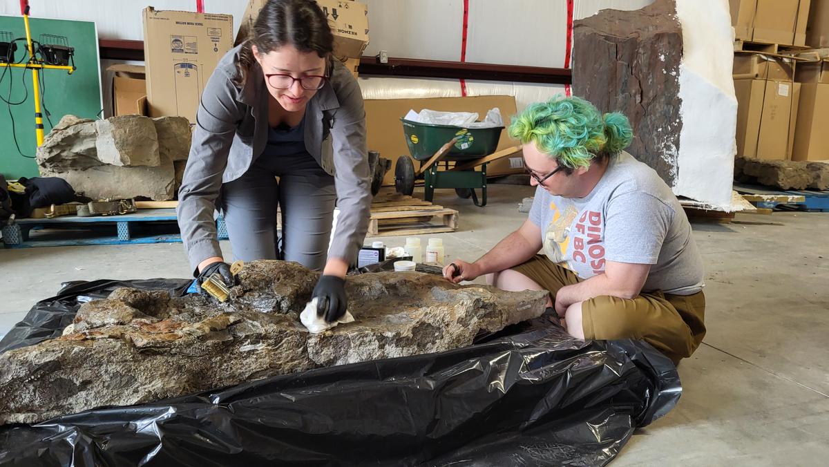 BC Researchers Confirm Footprints of Three-Toed Dinosaur With Club-Like Tail