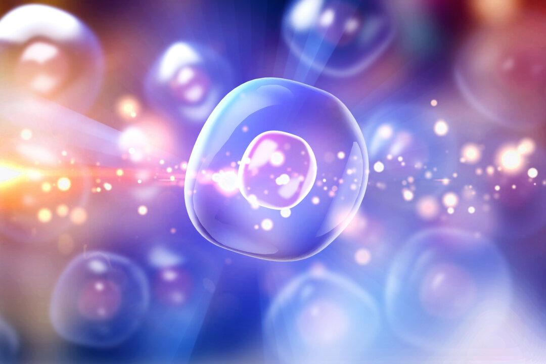 Our Cells Can Hear Sound, With Potential for Medicine