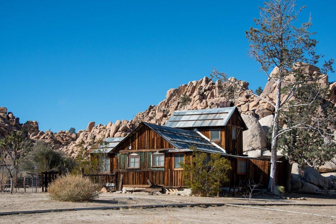 A Ranch in the Mojave Desert Is a Testament to Tenacity