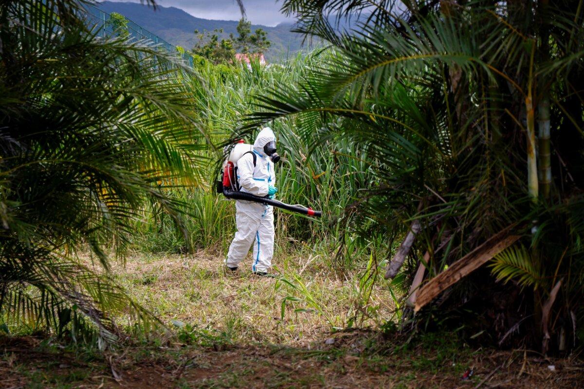 An ARS vector control agent operates as part of the fight against the Chikungunya pandemic by mosquitoes in Saint-Benoit on the French overseas island of La Reunion on April 22, 2025. (LUDOVIC MARIN/AFP via Getty Images)