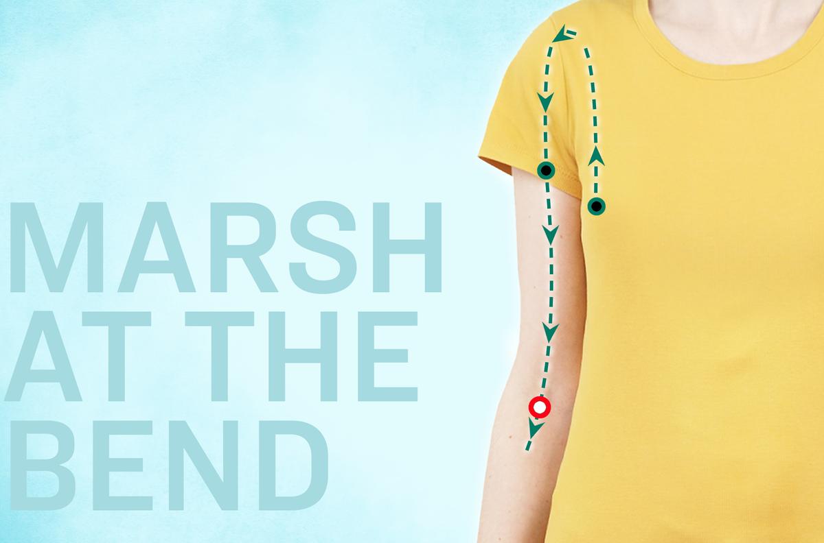 The Subtle Influence of Qu Ze: Clear Blockages for Your Heart Health