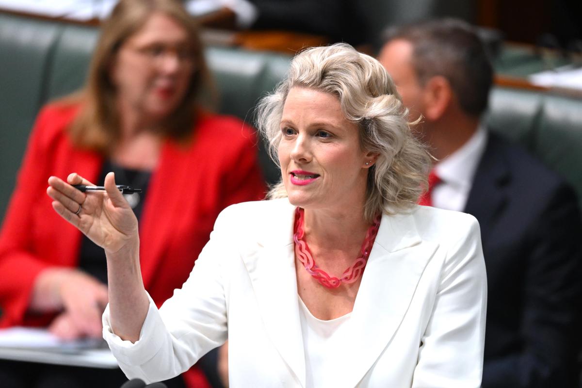 Labor Minister Asks to ‘Silence’ Liberal Senator’s Microphone During Work From Home Debate