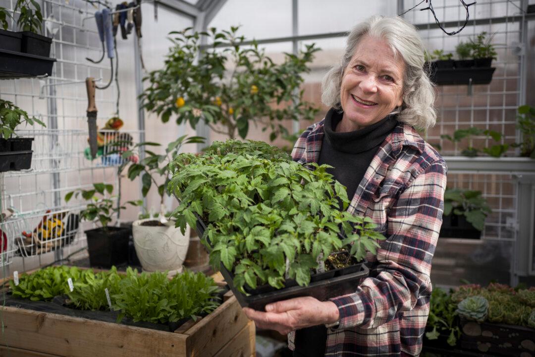 Digging for Savings? Gardening Experts Advise Patience, Planning When Growing Food