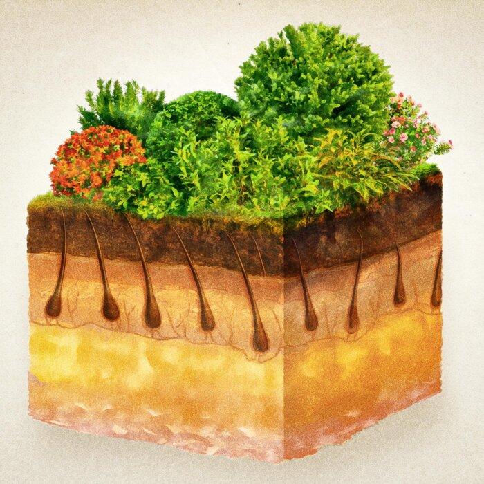 How to Eat to Promote Hair Growth