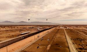 US Might Restrict Livestock Imports From Mexico Over Screwworm Concerns: USDA