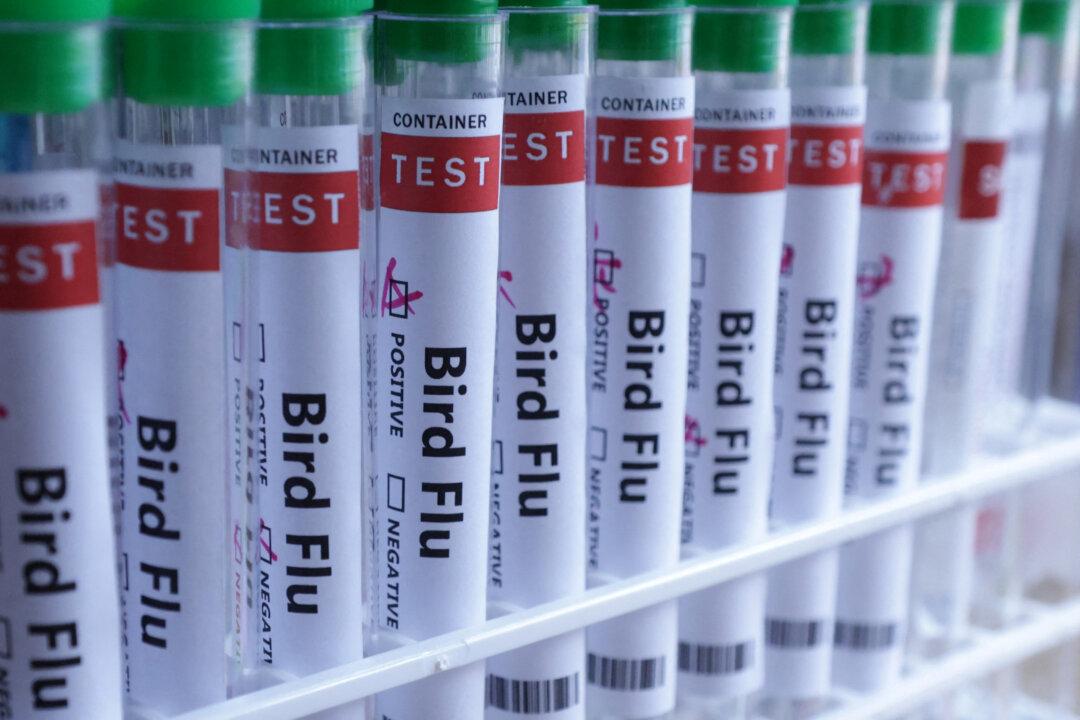 Mexico Reports First Human Case of H5N1 Bird Flu