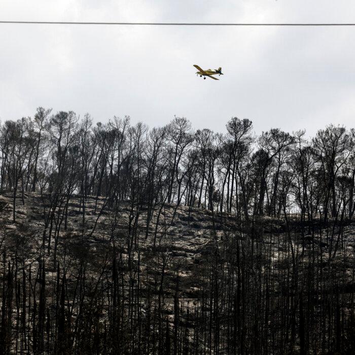 Day in Photos: Fire in Israel, Protests in Pakistan, and Earthquake in South America