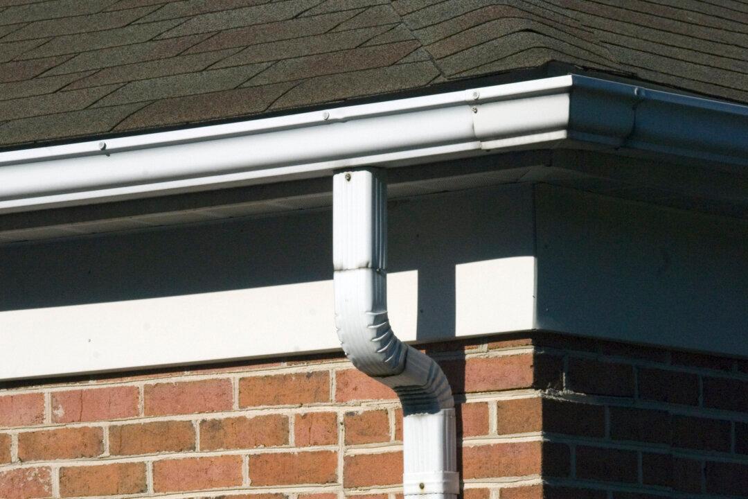 Clean and Repair Gutters