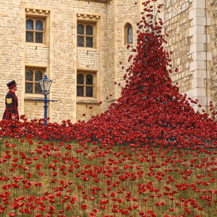 Day in Photos: Ceramic Poppies, Drone Attack in Sudan, and Grand Egyptian Museum