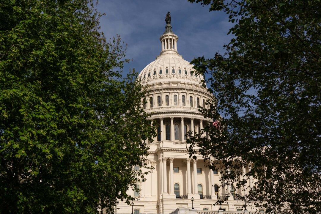 Medicaid Reform Proposals Explained