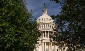 Medicaid Reform Proposals Explained