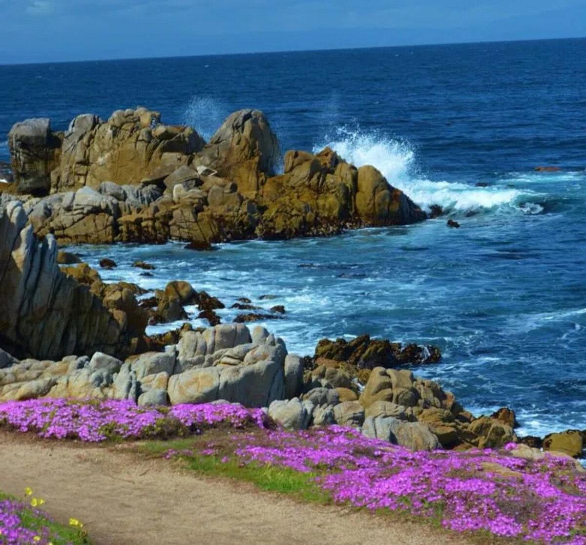 For a small town, Pacific Grove, California, sports a good number of delightful Victorian bed and breakfasts, each providing a unique blend of historic charm, coastal beauty, and personalized hospitality. (Noreen Kompanik/TNS)