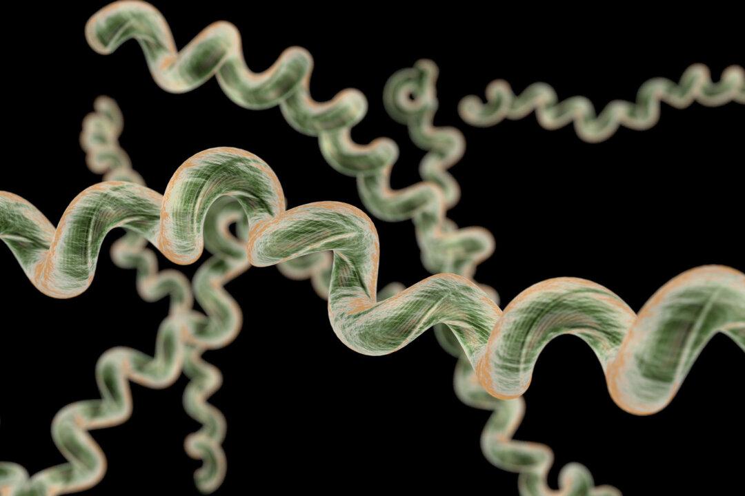 Old Antibiotic Shows Promise Against Lyme Disease at Ultra-Low Doses