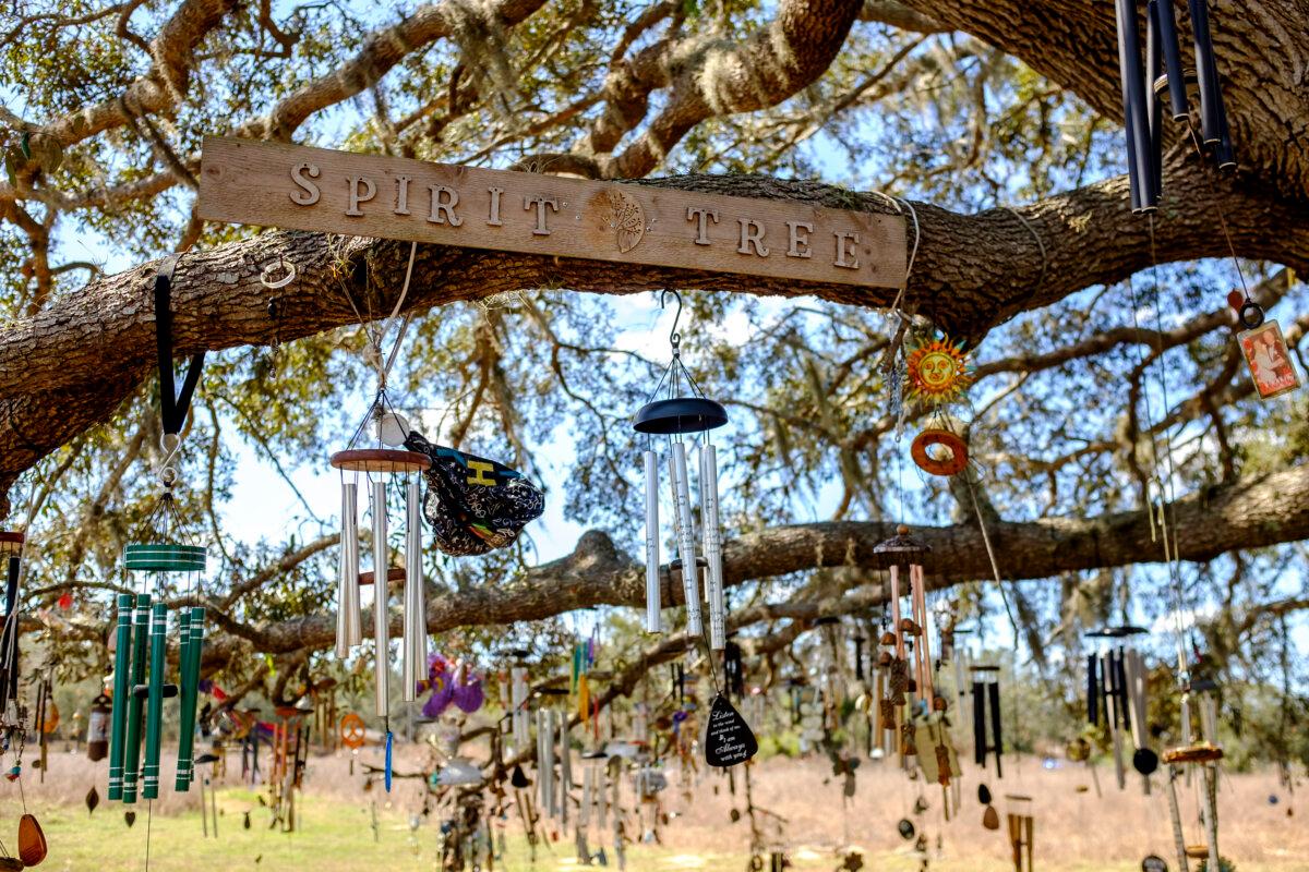 The Spirit Tree's wind chimes pay tribute to lost loved ones. It makes for a welcome break spot. (Patrick Connolly/Orlando Sentinel/TNS)
