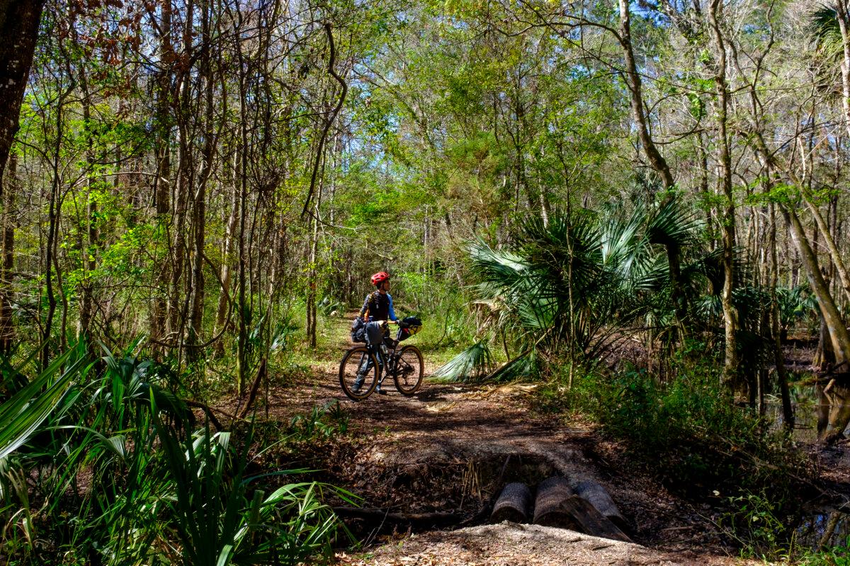 Kevin Bolton pauses to take in the natural scenery. (Patrick Connolly/Orlando Sentinel/TNS)