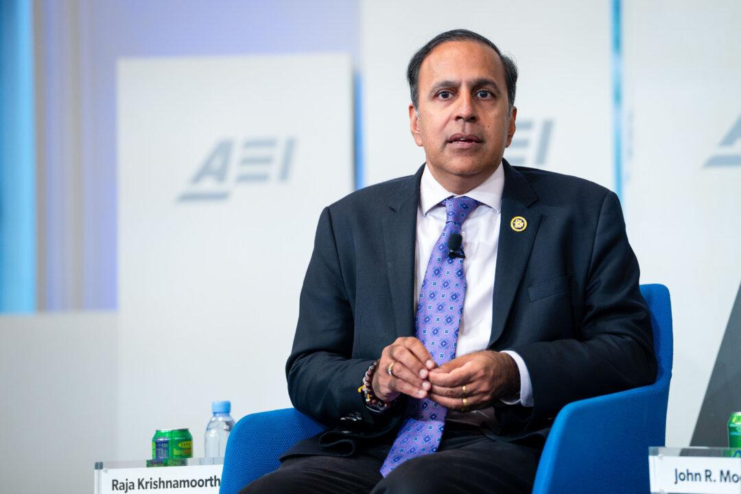 Rep. Raja Krishnamoorthi Makes Bid for Illinois Senate Seat