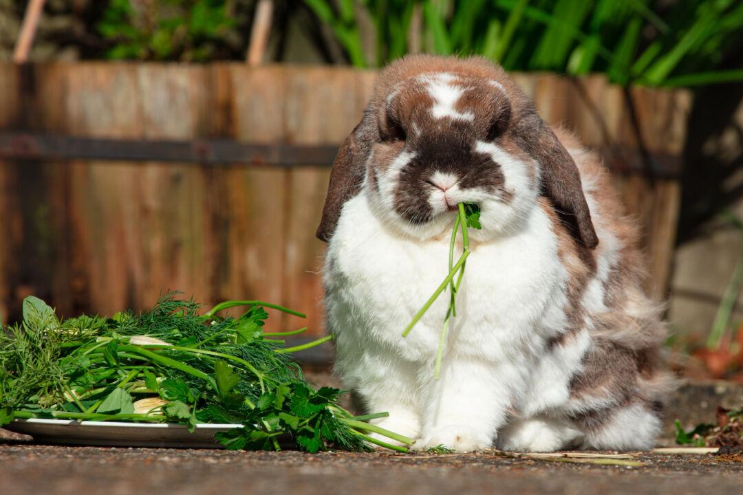 Homeschooling Kids by Fostering Entrepreneurship