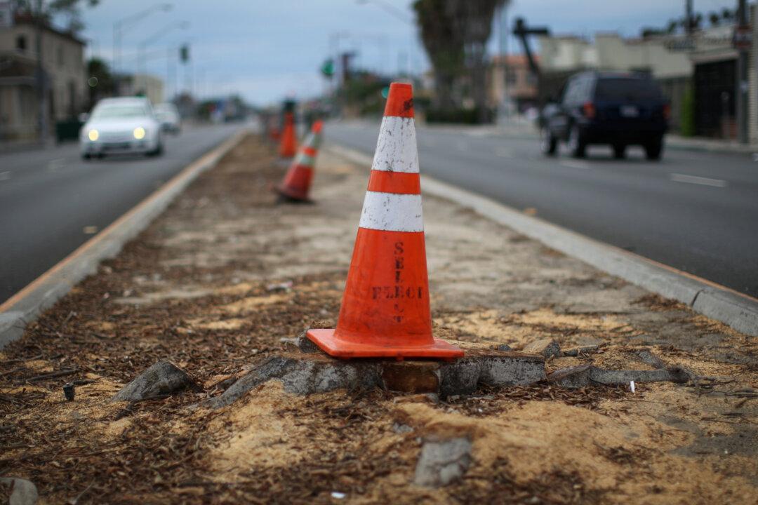 Man Ordered to Stand Trial for Allegedly Cutting Down 13 Trees in Los Angeles