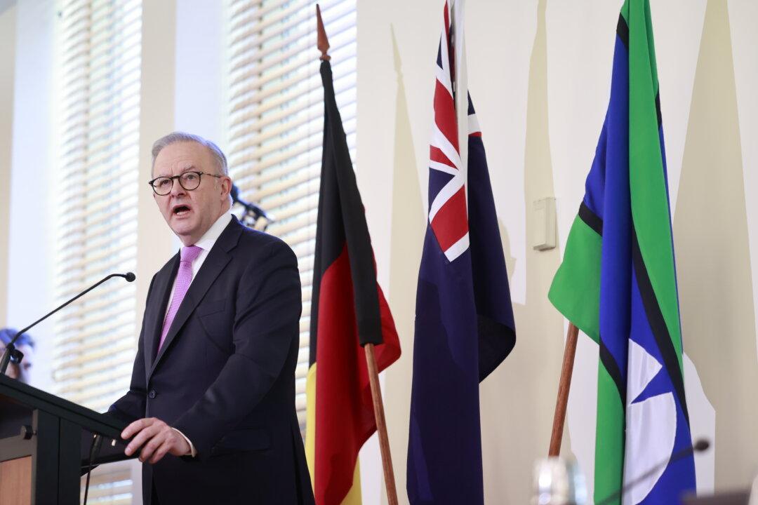 Albanese Unveils New Cabinet, Appoints 7 Special Envoys