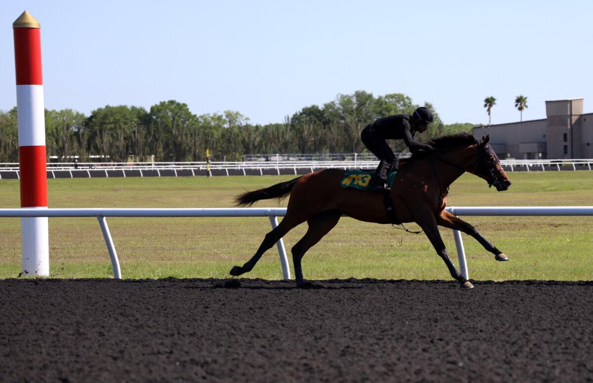 On April 10, 2025, potential buyers from Ocala Breeders Sales Facility in Ocala, Florida participated in horse sales in the past.