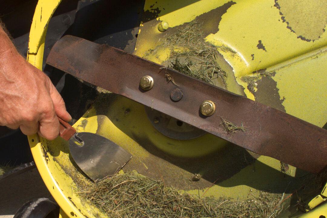 Tune up a Lawn Mower