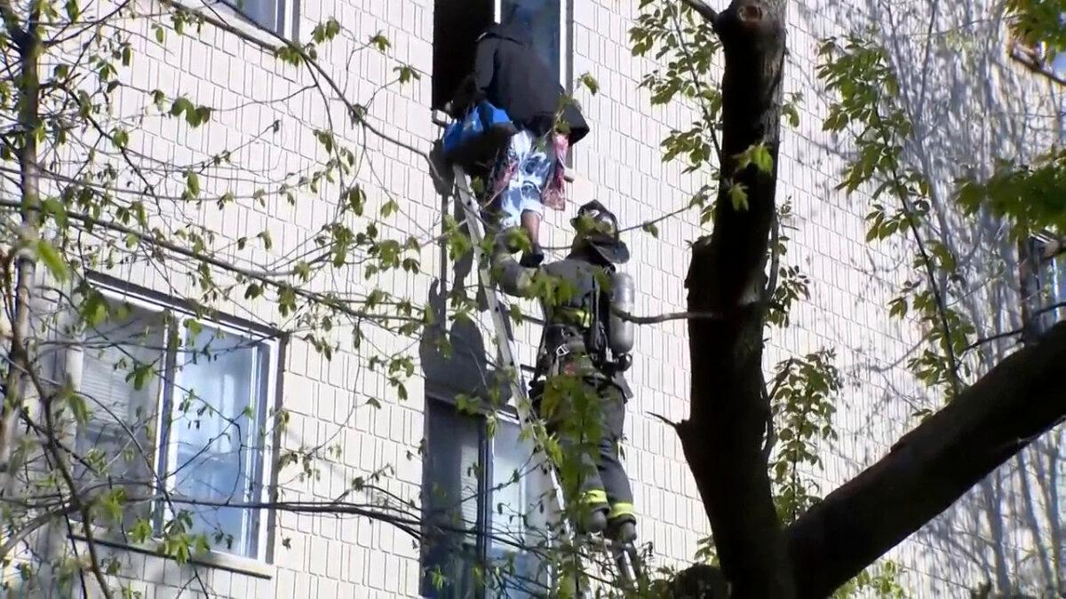 Ladder firefighters will exit the window at the premises of an apartment building in Milwaukee, Wisconsin on May 11, 2025 to help people from the video. (WISN via AP)