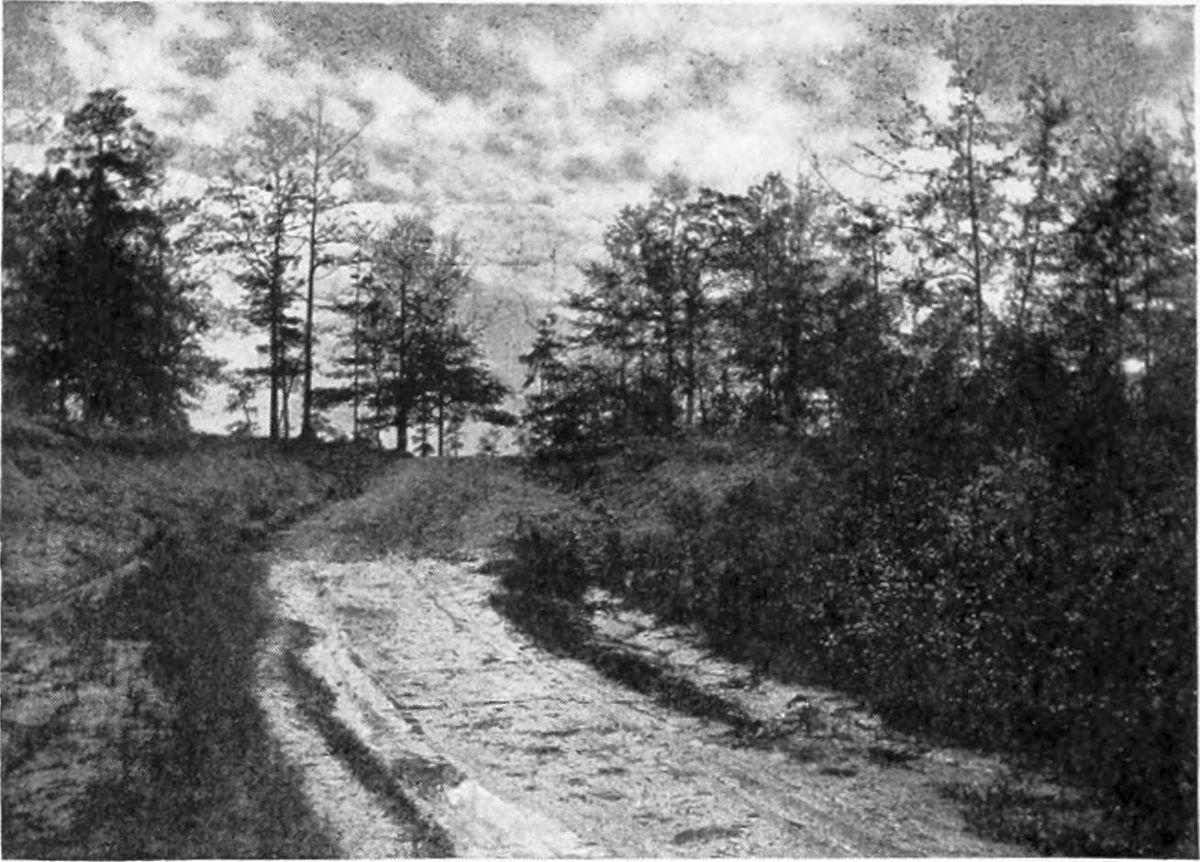 A photo from 1904 shows the place Burr was captured near Wakefield, Ala. (<a href="https://www.flickr.com/photos/internetarchivebookimages/14597882270/">Internet Archive Book Images</a>/<a href="https://creativecommons.org/licenses/by-sa/2.0/">CC BY-SA 2.0</a>)