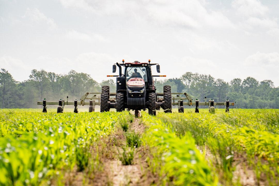 Insiders Share Why the US Imports So Much Food