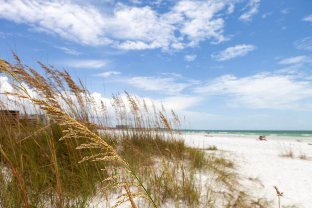 Florida Beach With ‘Pristine’ Setting Ranks Among World’s Best. Why It’s Special