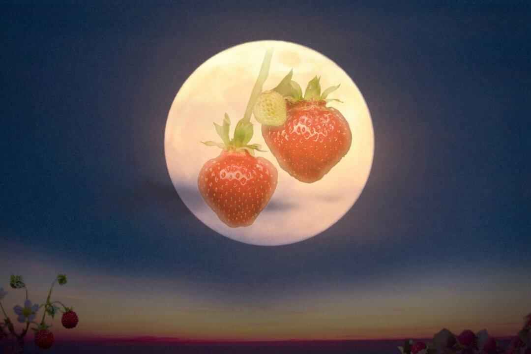 Full ‘Strawberry Moon’ in June—What It Means and How It Got Its Name