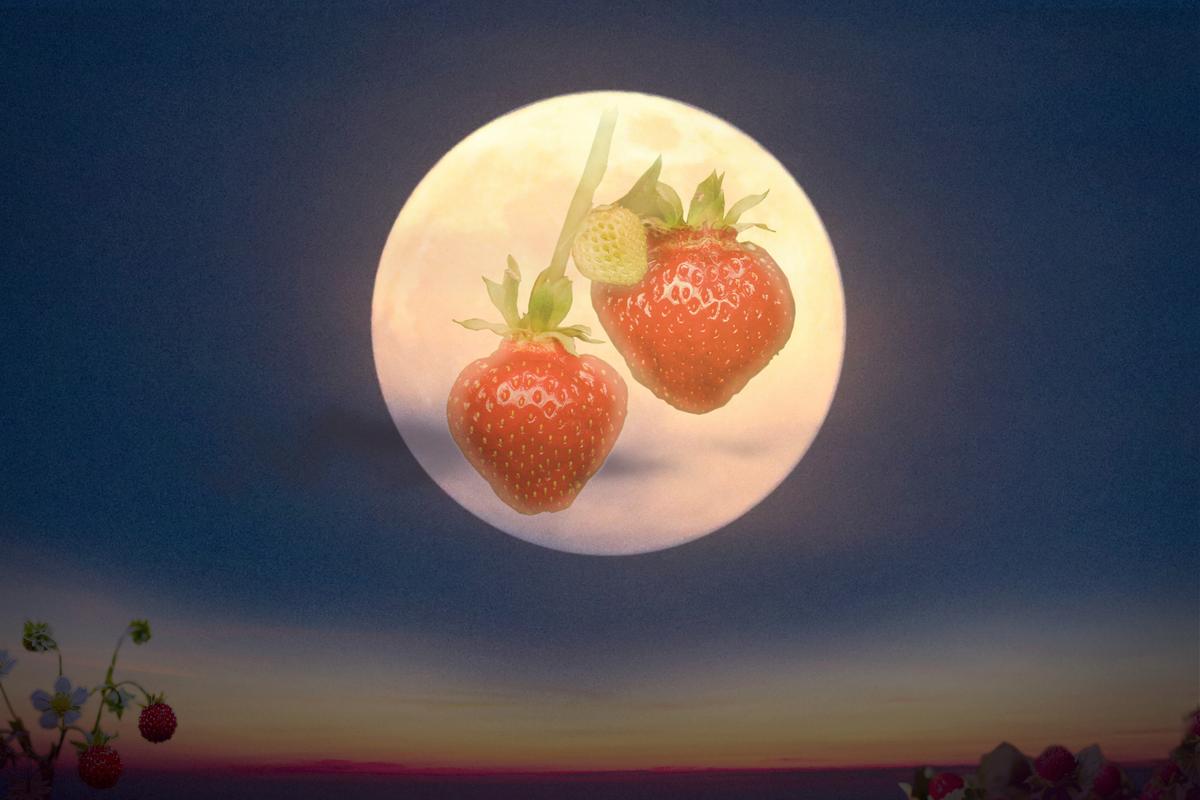 Full ‘Strawberry Moon’ in June—What It Means and How It Got Its Name