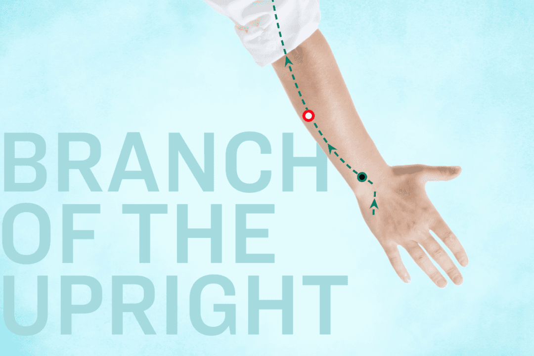 A Must-Know Path to Natural Gut, Mind, and Skin Wellness Awaits You