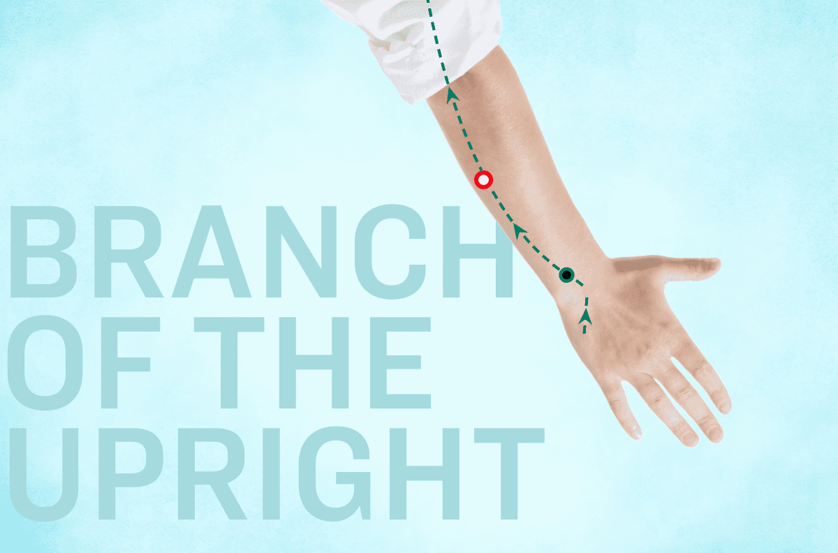 A Must-Know Path to Natural Gut, Mind, and Skin Wellness Awaits You