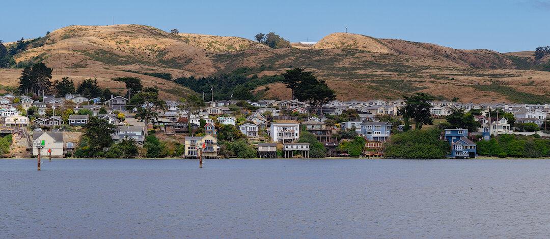 Take a Pet-Friendly Foodie Day Trip to Bodega Bay