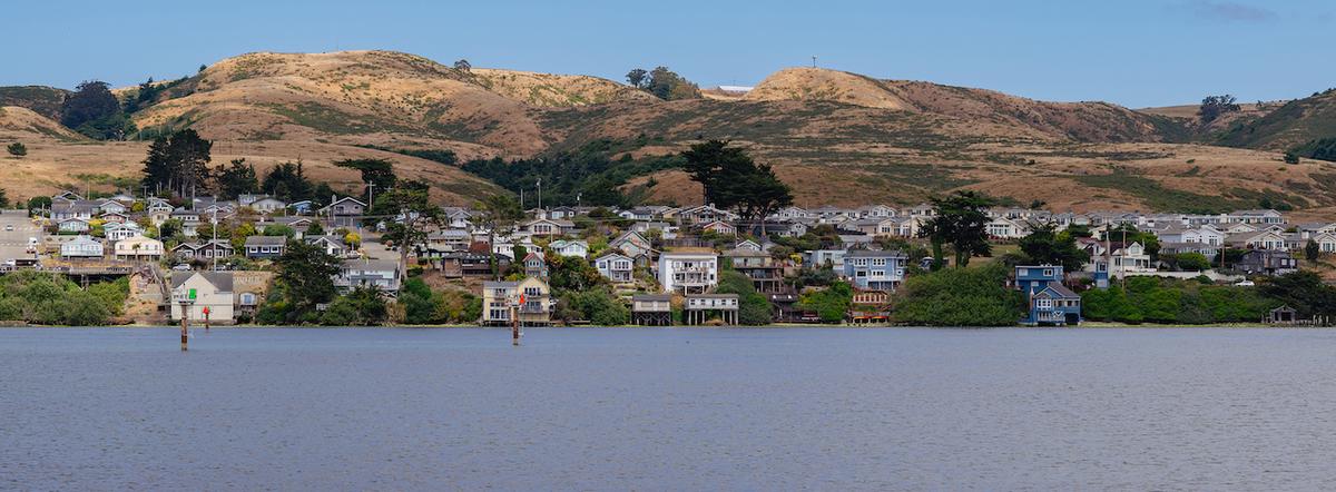 Take a Pet-Friendly Foodie Day Trip to Bodega Bay