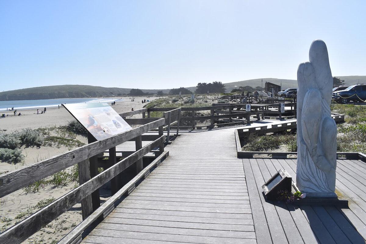 Doran Regional Park in Bodega Bay is home to a two-mile beach and is dog- and family-friendly. (Kate Bradshaw/Bay Area News Group)