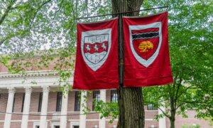 Trump Suggests Shifting $3 Billion in Harvard Funds to Trade Schools