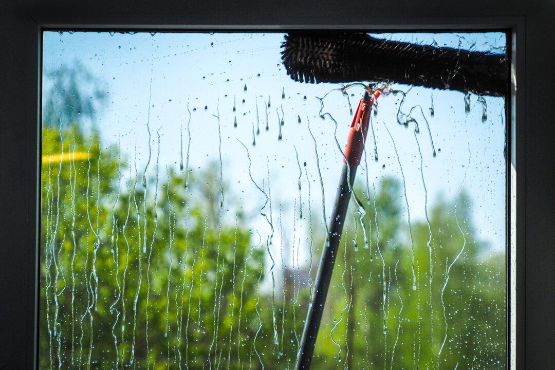 Wash Windows