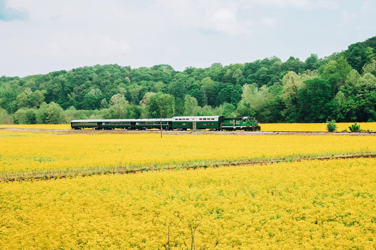 The French Lick Scenic Railway still runs through French Lick and Hoosier National Forest. (French Lick West Baden)