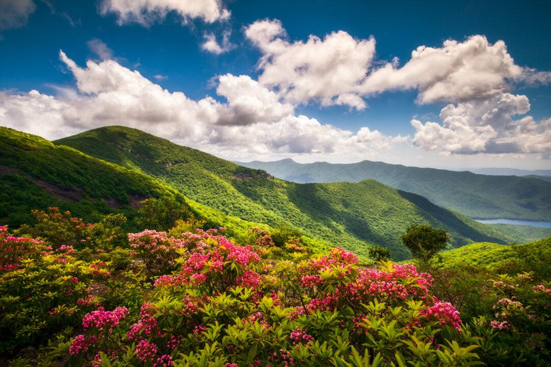 9 Family-Friendly Trips to Take to the NC Mountains This Spring, Summer, and Fall