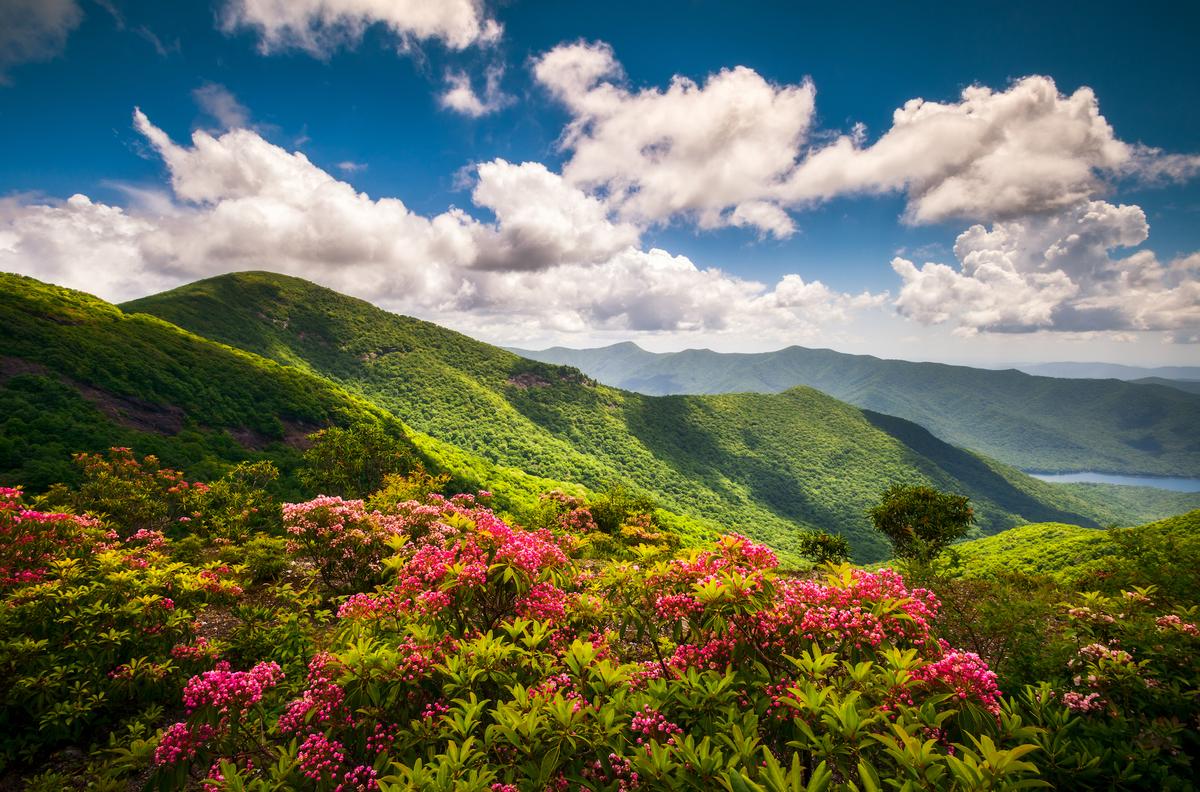 9 Family-Friendly Trips to Take to the NC Mountains This Spring, Summer, and Fall