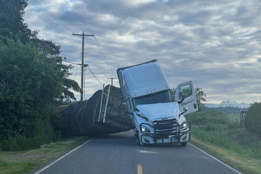 Millions of Honeybees Abuzz After Truck Overturns in Washington State
