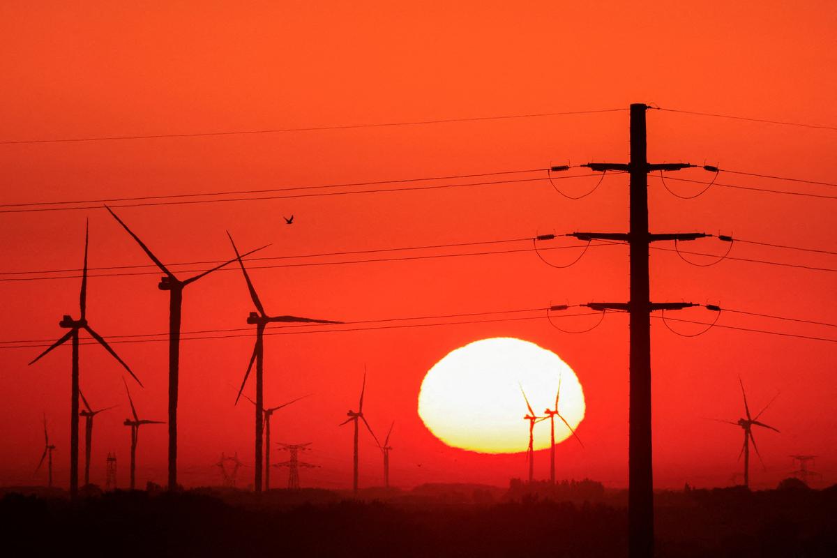 Barnaby Joyce Believes Australians at Odds With Parliament on Net Zero