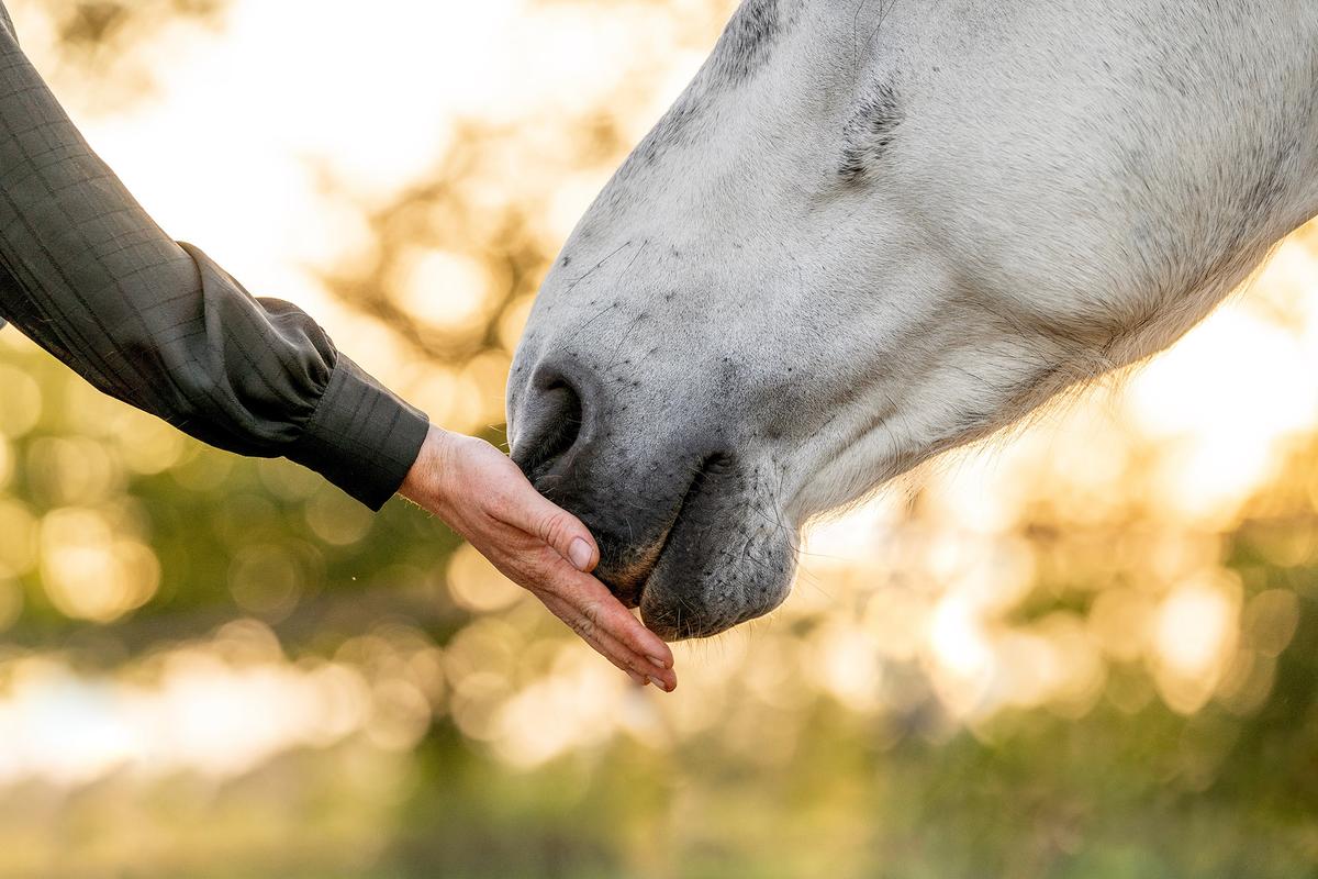 (PIC Femke Ketelaar/Shutterstock)